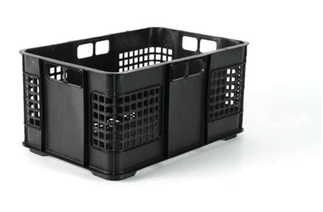 Cassetta per primizie – Letizia 13F