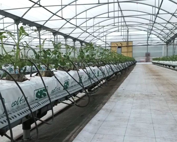 Canalina per coltivazione fuori suolo – Kikotech