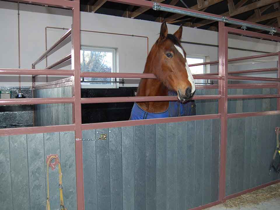 Stecche rinforzate per allevamenti