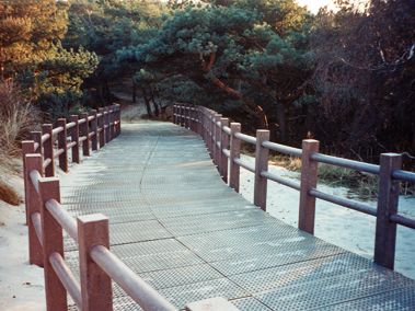 Recinzione – Rosa 280 con 2 pali – PS0207