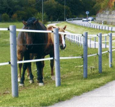 Pali a Croce con punta