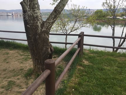 Recinzione – Iris 225 cm 3 filagne – PS0220