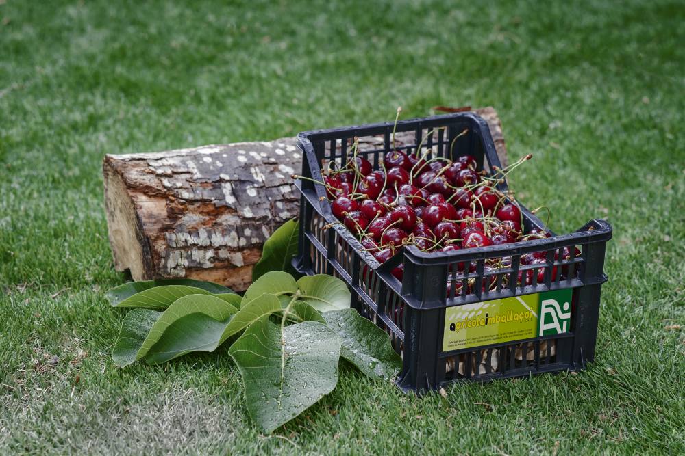 Cassa a perdere – 30x40x16N