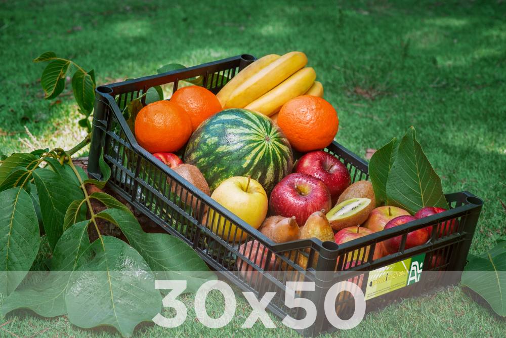 Cassa a perdere – 30x50x9,2N