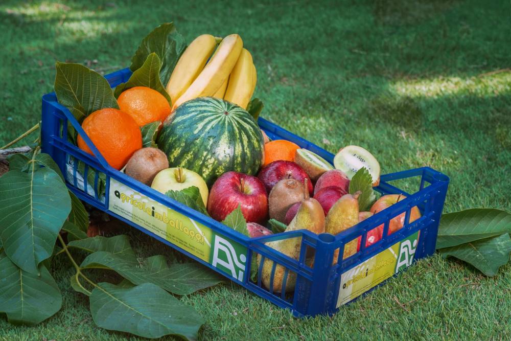 Cassa a perdere – 33x50x12N