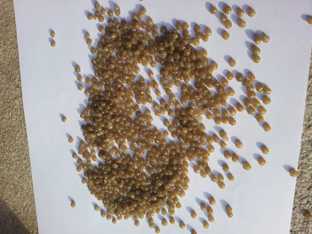 PP Grigio Toupe caricato – 05TP1CC