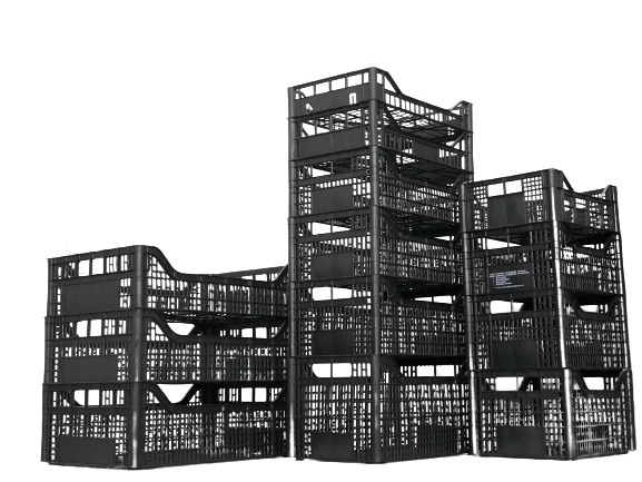 Casse a perdere – PL253040-LT