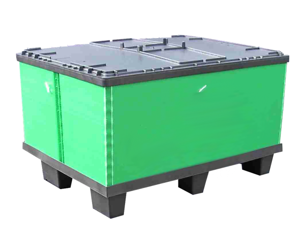 Pallet – Box Demi Lite 600×800