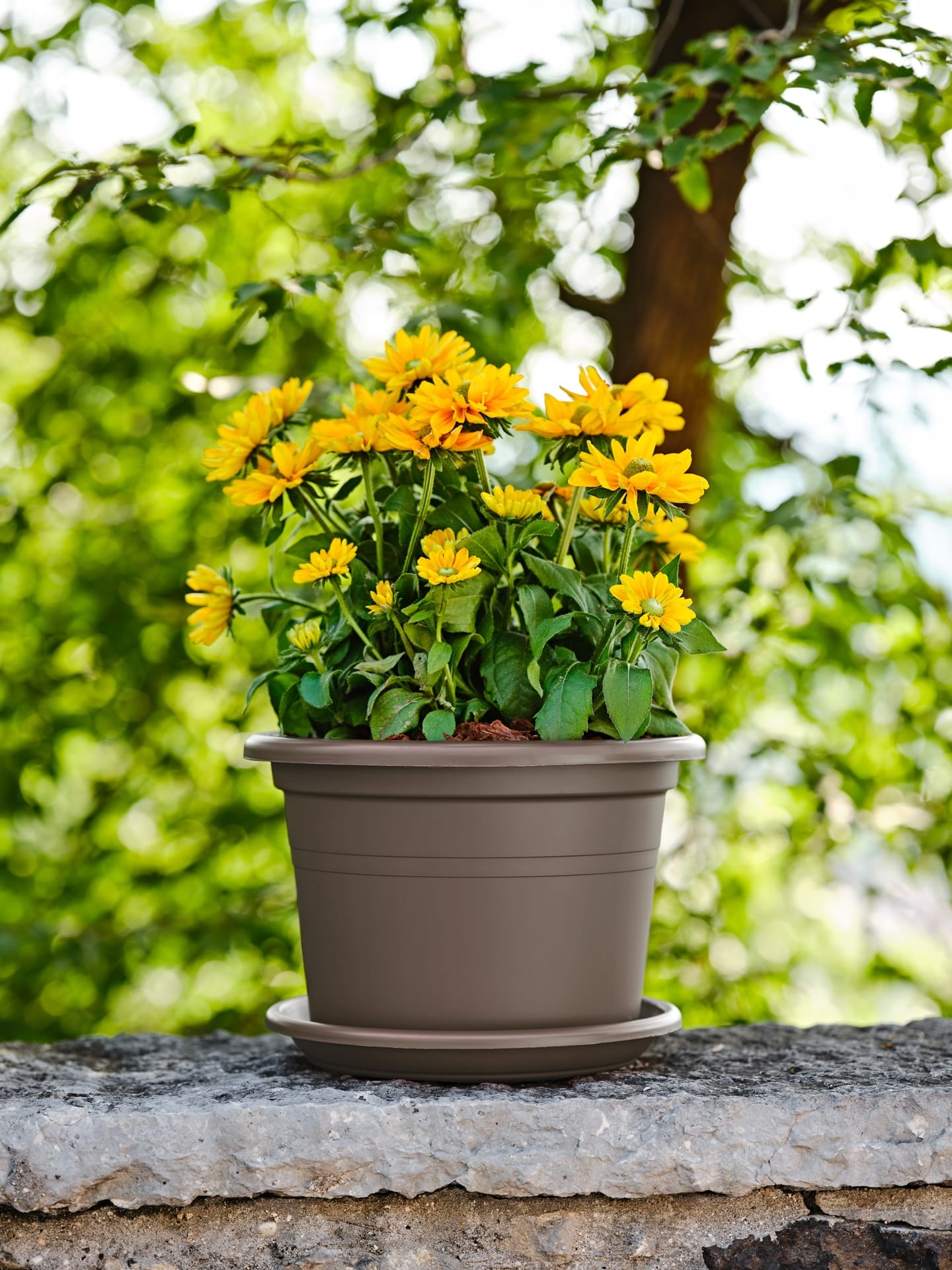 Sottovaso – Aura Round Saucer 30 ash – 33154030005