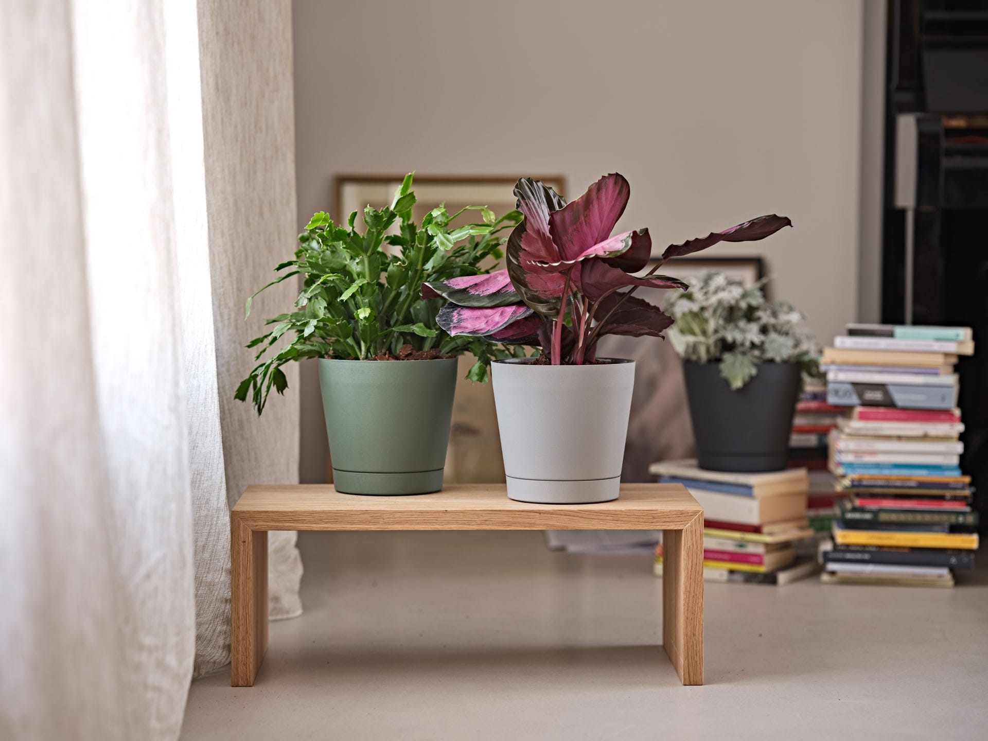 Vaso da fiori con griglia da mix eco – Orione 29 ash – 30518029005