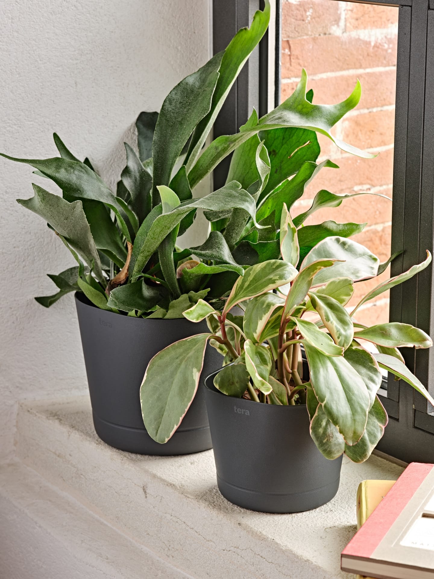 Vaso da fiori da raccolta differenziata – Colorado 25 ash – 30526025005