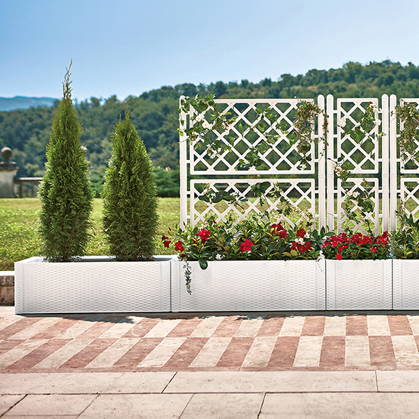 FIORIERA QUADRA CON SPALLIERA DELUX