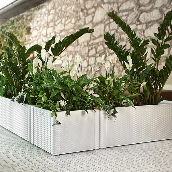 FIORIERA RETTANGOLARE CON SPALLIERA DELUX