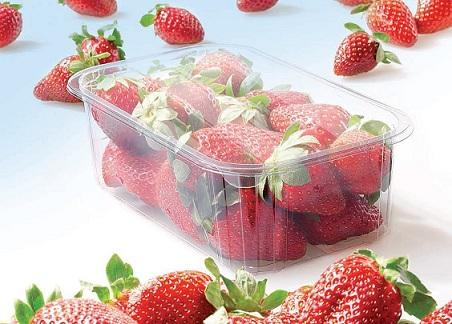 Packaging Fragole